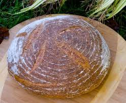 Red Lentil Sourdough Bread Lentil Bread Sourdough Bread Bread