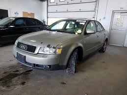 Image result for Canvas Beige 2005 A4