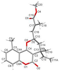 Image result for Ethulia vernonioides