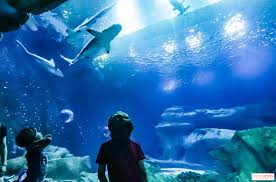 Aquarium de Paris en famille