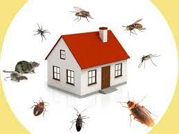 Greencare pest control & cleaning has a deep scientific knowledge of pests with a thorough understanding of each customer's unique needs. The Top 7 Pest Control Franchise Businesses In India For 2020