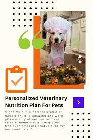 Personalized Veterinary Nutrition Plan For Pets Nutrition Plans Nutrition Animal Nutrition