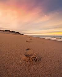 You won't believe this Cape photography is by a 16 year o...