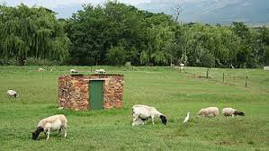 My cheese repertoire consists of gouda, cheddar, brie and camembert. Van Gaalen Cheese Farm