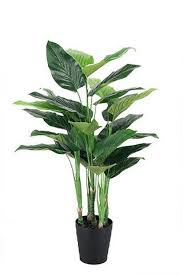 Many of the 480 species of philodendron plants are popular houseplants thanks to their large, green leaves. 60cm Artificial Philodendron Plant Potted Green Fake Foliage Floral Home Decor Floral Decor Patterer Home Garden