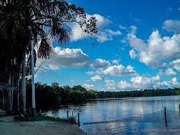 Consulta aquí cuáles fueron los temas destacados. Como Celebrar Los Dias De San Juan En Iquitos