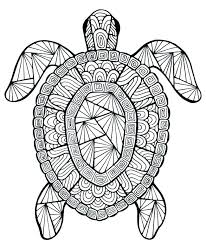 Enter now and choose from the following categories Mandalas Show And Text