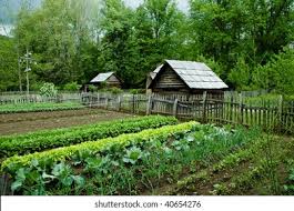 Photo & Image Portfolio by Don Fink