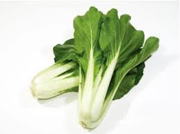 Sawi putih segar memiliki tekstur renyah yang membuat nikmat suatu masakan. Sawi Susu Putih å¤§ç™½èœ Cameron Fresh