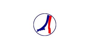 As you can see, there's no background. Worst To First Ranking Psg S Logos Through History Psg Talk