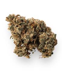 Cut Paste Cannabis Marijuana Pruf Cultivar Pruf No 36 Cut And Paste