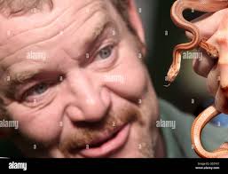 Snakes of born hi-res stock photography and images