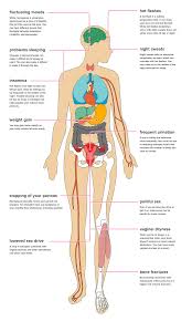 6 Effects Of Menopause On Your Body