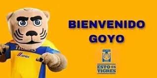 Bienvenidos a esta nueva cuenta de twitter recibe toda la informacion de nuestros pumas al momento!. King Veron Oficial Goyo Es Nueva Mascota De Los Tigres Facebook