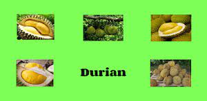 Upin & ipin kst prologue 1.3 memperbarui. Durian Runtuh Latest Version For Android Download Apk