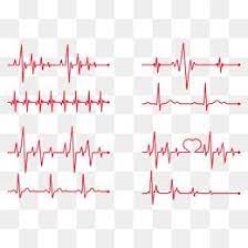 Vector Red Heartbeat Png Free Download Graphic Design Background Templates Watercolor Flower Vector Vector Free