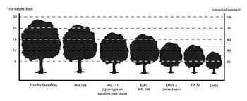 The dwarf root system makes for shallower roots, which means the tree may need support from a stake or trellis. Nmsu Rootstocks For Size Controlled Apple Trees