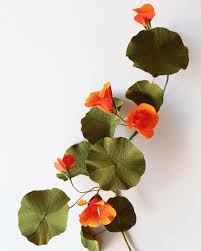 Nasturtium Papetal Paper Flowers Diy Handmade Flowers Paper Paper Flowers Craft
