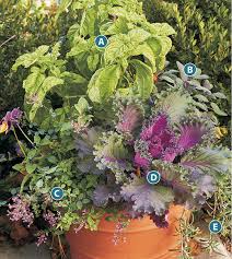 Wij van zeecontainer veranda uit dronten (flevoland) bouwen nieuwe zeecontainers om tot luxe veranda's, overkappingen, tuinhuizen en buitenverblijven. Ideas For Growing Herbs In Pots Garden Gate