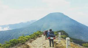 Hapunten Gunung Gede Pangrango Tutup Karena Corona Menggila Radarsukabumi Com