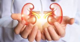 Mit Dieser Diat Kannst Du Deine Nieren Reinigen Besser Gesund Leben Nierentransplantation Nierenkrankheit Nieren Reinigen