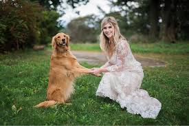 Along with their desire for play, they are loveable, polite, and easily trained due to their high intelligence. Golden Retriever Puppies For Sale In Upstate Ny The Y Guide