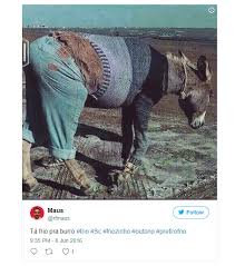André rizek posta meme de 'brasil comunista' após mourão pedir que tite deixe seleção. Onda De Frio Vira Inspiracao De Memes Na Web Cidadeverde Com