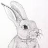 Download this premium vector about hand drawn realistic rabbit, and discover more than 12 million professional graphic resources on freepik. Https Encrypted Tbn0 Gstatic Com Images Q Tbn And9gcsyztn3 Fhaa0qhomflulq3ppyz R Cbjxnvoa Wem Usqp Cau
