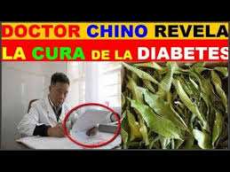 Ayuda en fracturas y desmineralización. 140 Ideas De Plantas Curativas Remedios Remedios Naturales Salud