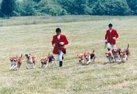 In the end, they simply got caught. Read Your Standard And Dream Bis Line