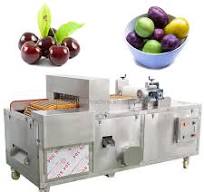 Commercial Fruit Pitting Machine Olive Pit Extracting Machine Cherry Pitter  Pit Remove Machine