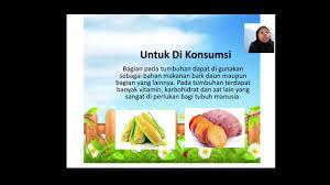 Gesekan terjadi jika ada dua benda yang bersinggungan satu sama lain. Kelas 2 Sains 8 Tumbuhan Yang Menguntungkan Dan Merugikan Bagi Manusia Youtube