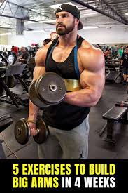 5 Exercises To Build Big Arms In 4 Weeks Exercise Home Exercise Routines Fit Board Workouts