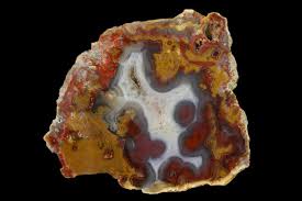 Image result for Agate