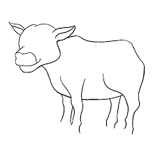 Our drawing lessons continue with this simple how to draw a cow step by step tutorial. How To Draw A Cartoon Cow In A Few Easy Steps Easy Drawing Guides