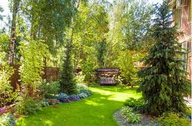 Maybe you would like to learn more about one of these? 7 Types Of Pine Trees That Are Great For Home Landscapes