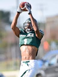 Prep football preview: Detroit PSL