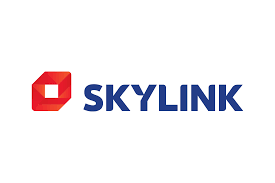 We are focused on raising your business and help you throughout. Download Skylink Logo In Svg Vector Or Png File Format Logo Wine