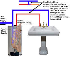 Liver shunt, also known as portosystemic shunt, is a health condition that can occur in puppies as a form of congenital birth defect. Portosystemic Shunts In Your Dog And Cat