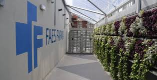 138 likes · 5 were here. Faes Farma Compra Global Farma Por 23 5 Millones Companias Cinco Dias