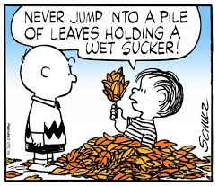 Image result for charlie brown fall