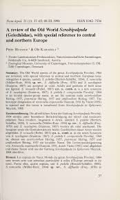 Image result for Scrobipalpula diffluella