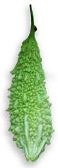 Image result for Momordica humilis
