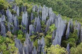 Gunung mulu national park (taman negara gunung mulu), is in sarawak on the island borneo, near the border with brunei. Indigenous Penan And Berawan Communities File Lawsuit Against Palm Oil Development Destroying Rainforests Near The Unesco Protected Gunung Mulu National Park The Borneo Project