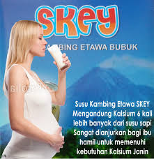 Meskipun susu termasuk baik untuk ibu hamil, tidak semua jenis bisa dikonsumsi, terutama susu mentah. Susu Kambing Etawa Untuk Ibu Hamil Distributor Susu Kambing Etawa Skey