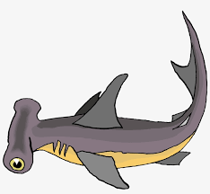 A hammerhead shark uses its wide head to trap stingrays by pinning them to the seafloor. Cute Cartoon Hammerhead Sharks Free Transparent Png Download Pngkey