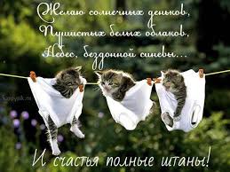 однажды рискнув можно остаться счастливым на всю жизнь цитата Dobroe Utro Prikolnye Kartinki Schastya Polnye Shtany Dobroe Utro Smeshnye Otkrytki Svadebnyj Yumor