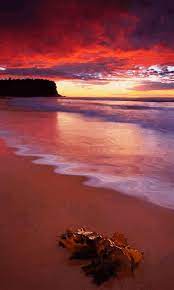 Google Sunset Landscape Sunset Photography Instagram Beach