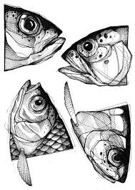 78 Sea Creatures Pencil Drawing Ideas Art Fish Drawings Fish Art Fish Illustration