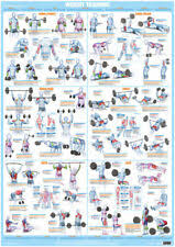 Weights Poster Products For Sale Ebay